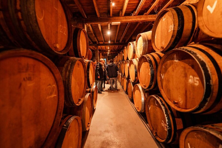 Brussels: Discover Belgium's Breweries with a Local - Six Belgian beers, not six oversized pints