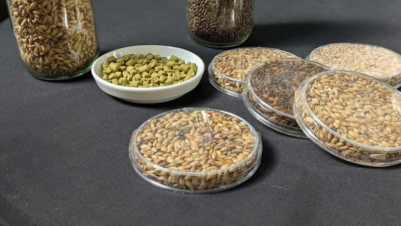 Brussels: micro brewery & distillery tour + beer tasting - Key points at a glance