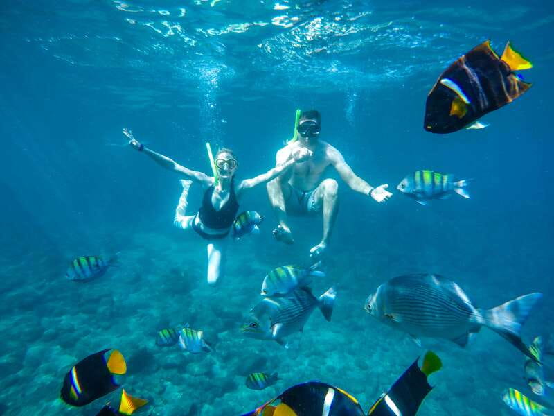 Cabo Catamaran Snorkel: Arch & Santa Maria, Open Bar, Snacks - Key points at a glance