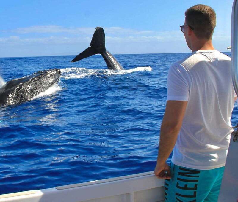 Cabo Catamaran Snorkel: Arch & Santa Maria, Open Bar, Snacks - Who will enjoy this Cabo cruise?