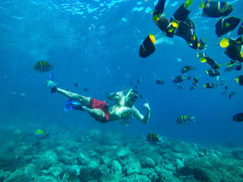 Cabo Catamaran Snorkel: Arch & Santa Maria, Open Bar, Snacks - Practical tips for a smoother afternoon