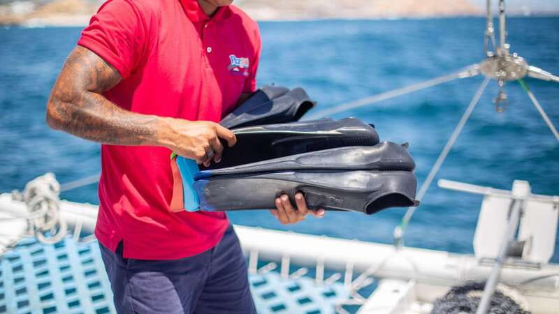 Cabo San Lucas: 4-Hour Snorkeling Cruise with Open Bar - Who will enjoy this most?
