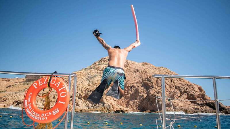 Cabo San Lucas: 4-Hour Snorkeling Cruise with Open Bar - Boarding from Cabo’s main resort areas