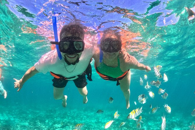 Cabo San Lucas Catamaran Cruise: Snorkel or Sunset Adventure - Pelican Rock and the daytime water stop