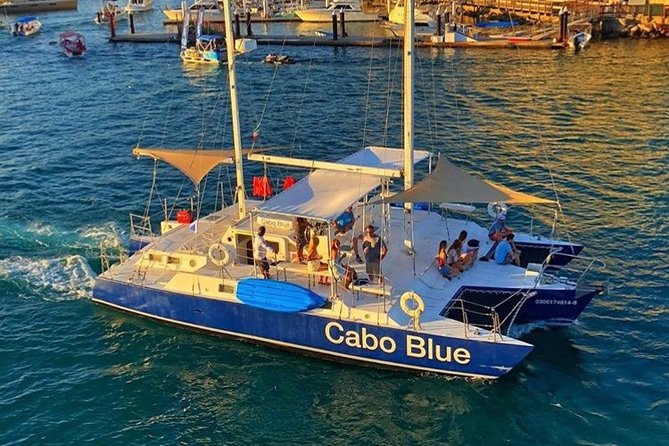 Cabo San Lucas Sunset Cruise with Open Bar and Snacks - The Sea Lion Colony and Wildlife Chances