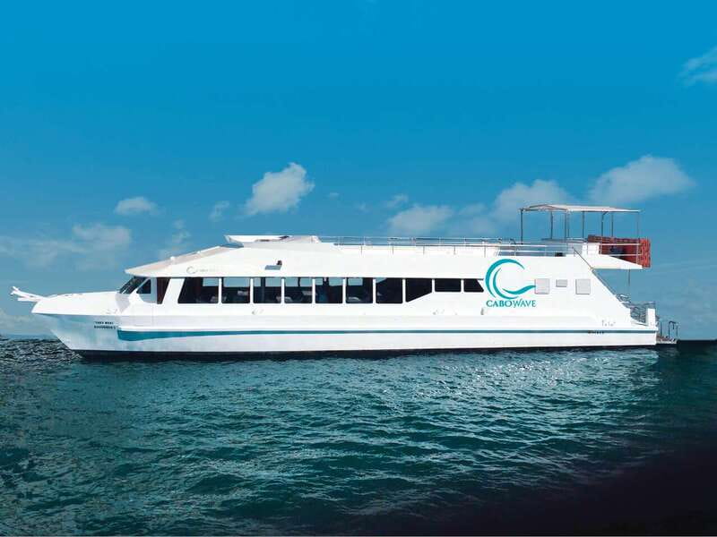 Cabo: Sunset Cruise with Dinner, Music & Open Bar - Dinner with tamales, fajitas, and local ingredients