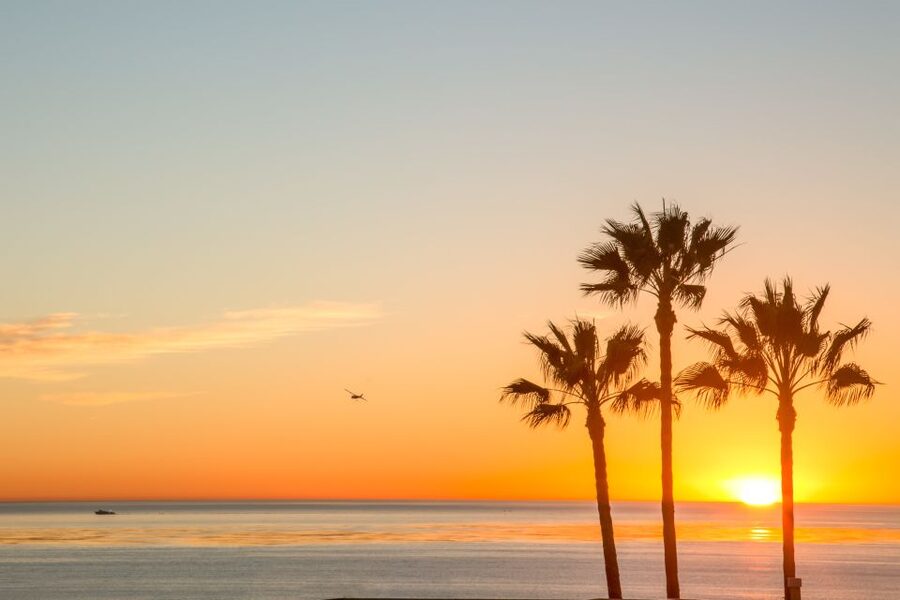 California Sunset Brewery Tour - Key points at a glance