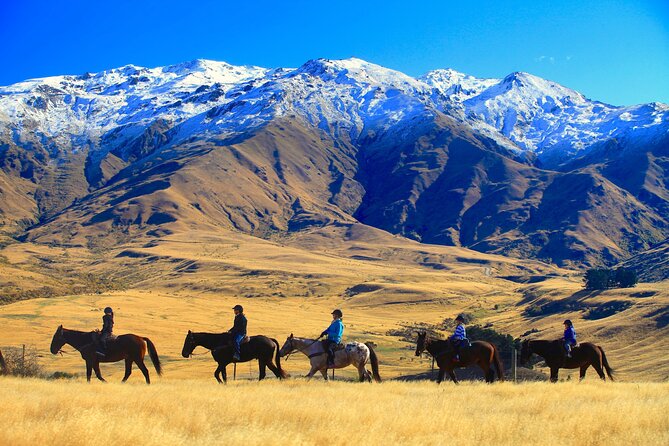 Cardrona High Country Pub Trail Horse Trek (Intermediate level+) - The first stretch: mountain tracks and Central Otago history