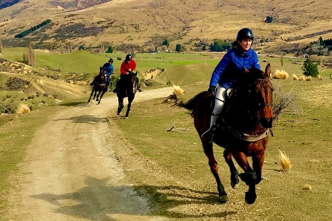 Cardrona High Country Pub Trail Horse Trek (Intermediate level+) - Crossing the river toward Cardrona Hotel
