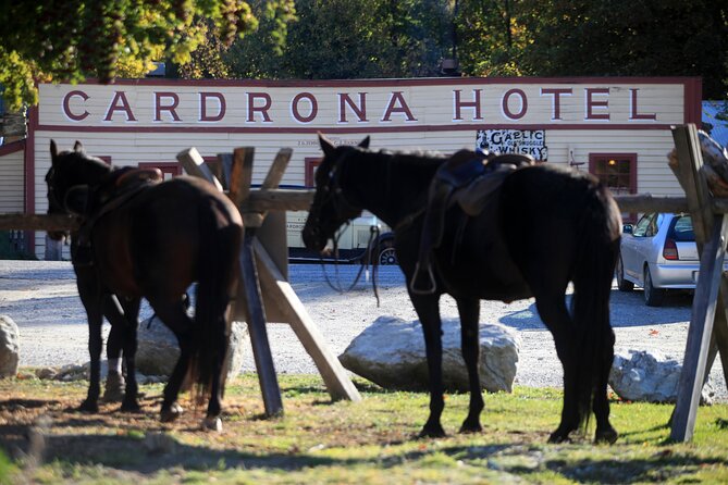 Cardrona High Country Pub Trail Horse Trek (Intermediate level+) - A drink at the historic Cardrona Hotel