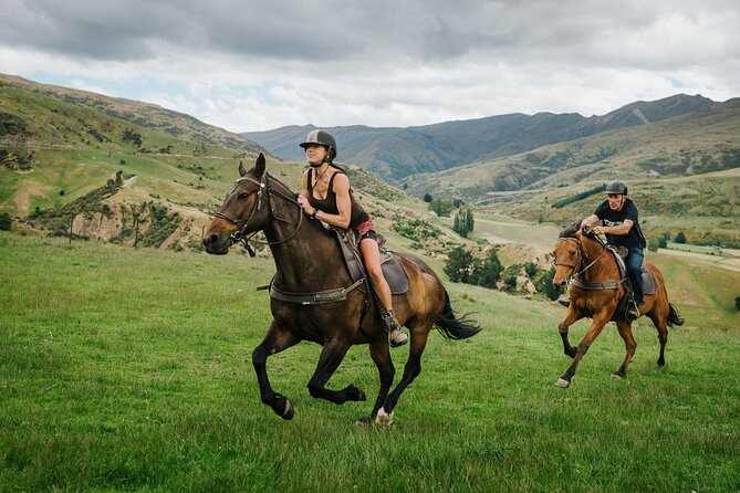 Cardrona High Country Pub Trail Horse Trek (Intermediate level+) - Why the small group matters