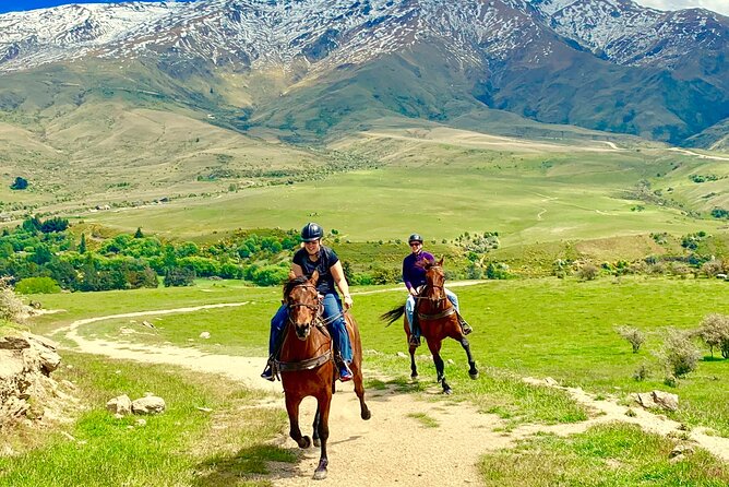 Cardrona High Country Pub Trail Horse Trek (Intermediate level+) - Trotting and cantering on safer stretches
