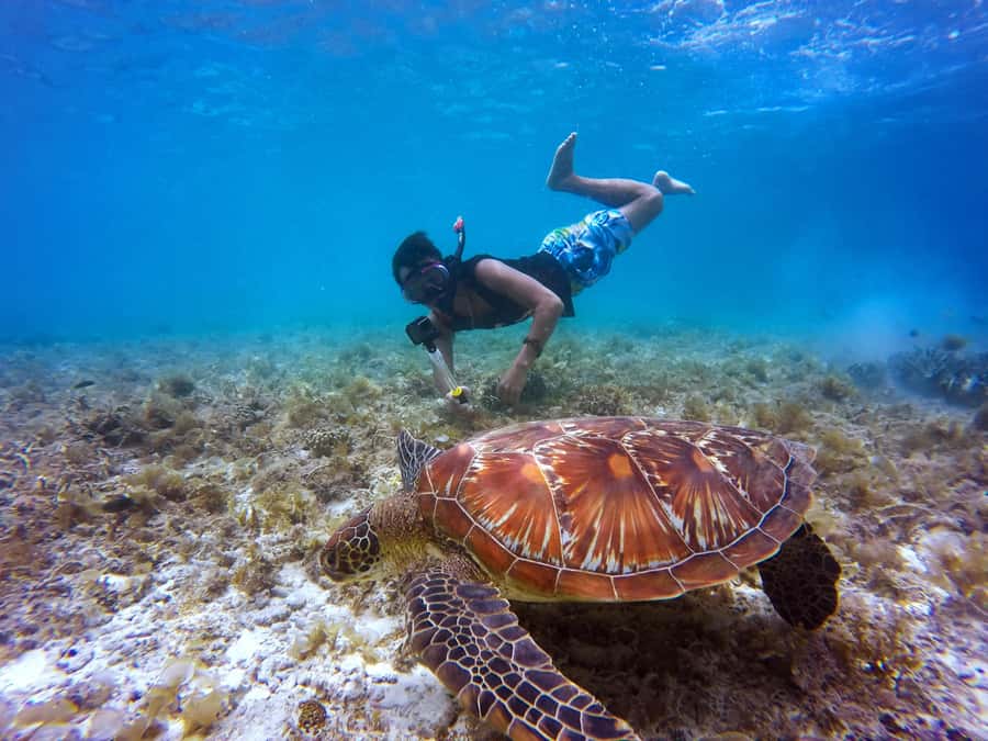 Cartagena: 5 Islands Boat Tour with Lunch, Snorkeling, & Bar - What the $159 price really buys you