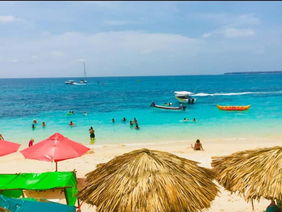 Cartagena: Barù Island Playa Blanca with Lunch - A Caribbean lunch with fish and coconut rice