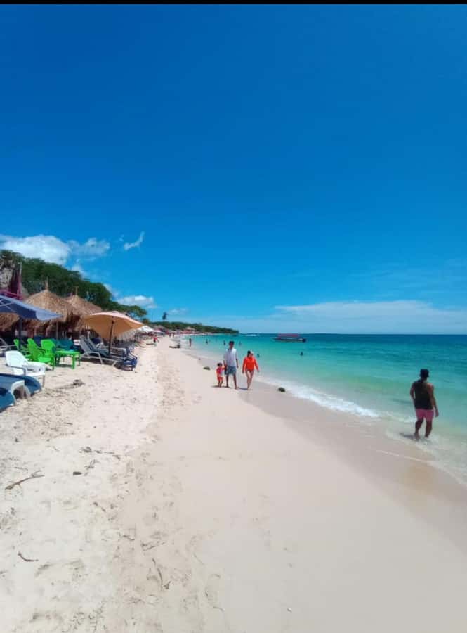 Cartagena: Barù Island Playa Blanca with Lunch - Morning pickup around Cartagena