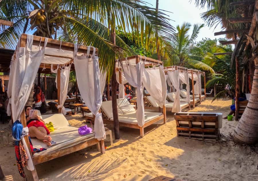 Cartagena: Barú Sunset Beach with Bioluminescent Plankton - Sunset dinner at Mambo Beach