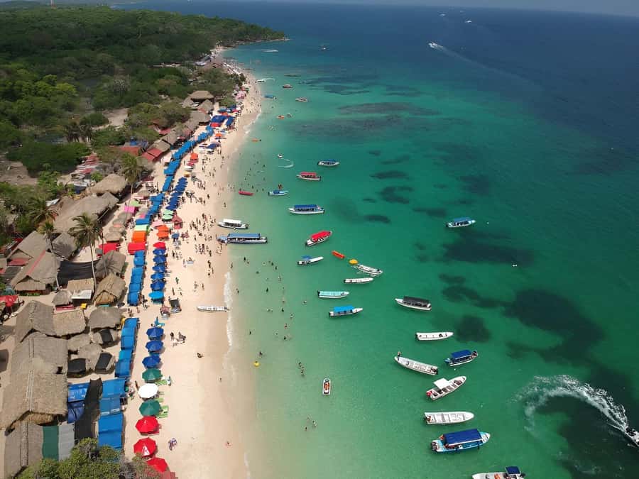 Cartagena: Daytour Aviary and Playa blanca, Barú by bus! - Why combine the aviary with Playa Blanca?