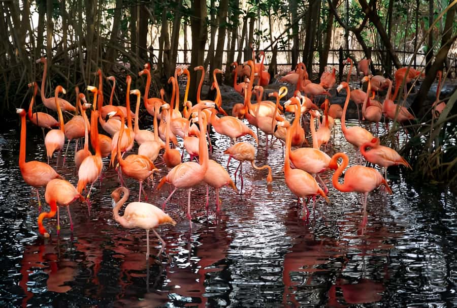 Cartagena: Daytour Aviary and Playa blanca, Barú by bus! - The bus ride to Barú