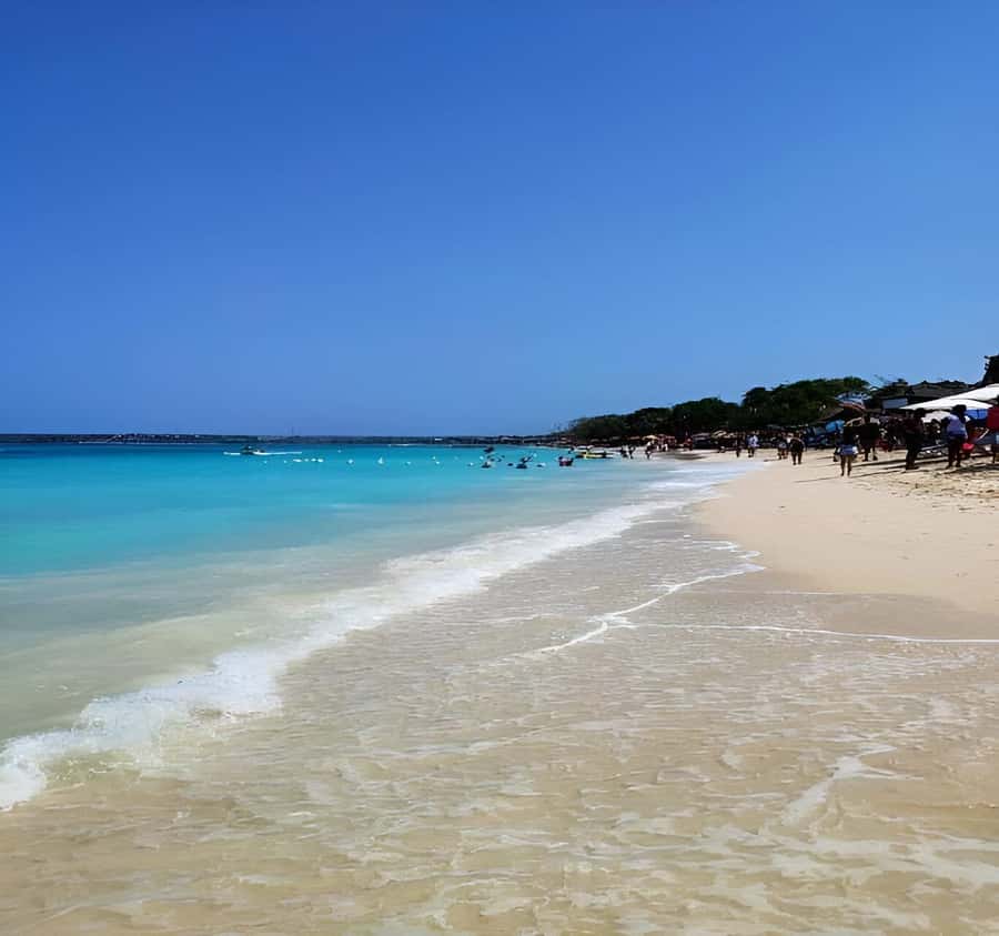 Cartagena: Daytour Aviary and Playa blanca, Barú by bus! - The transfer from the aviary to Playa Blanca