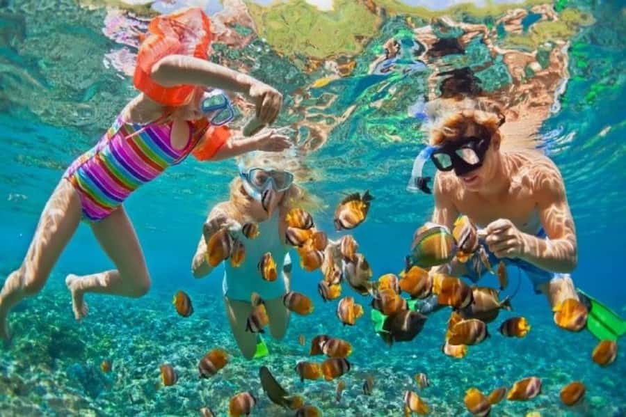 Cartagena: Rosario islands Playa Blanca Barù by boat & lunch - Key points to know before booking