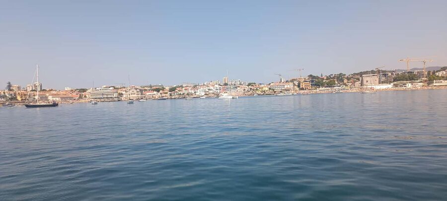 Cascais Coastal Secrets: 90-Minute Cruise with Free Drinks - Ten minutes for wildlife watching