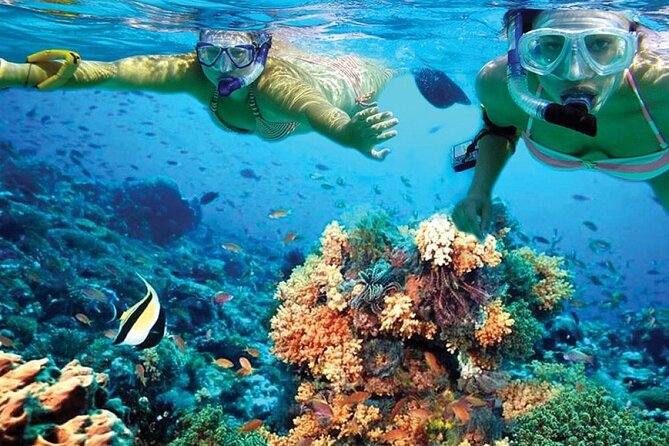 Catamaran Sailing to Isla Mujeres with Snorkeling, Lunch & Open Bar included - What the $19 price really means