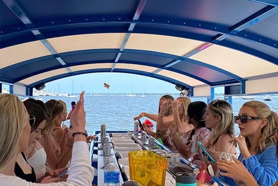Charleston: Harbor Bar Pedal Boat Party Cruise - A Cruise Built for Celebrations
