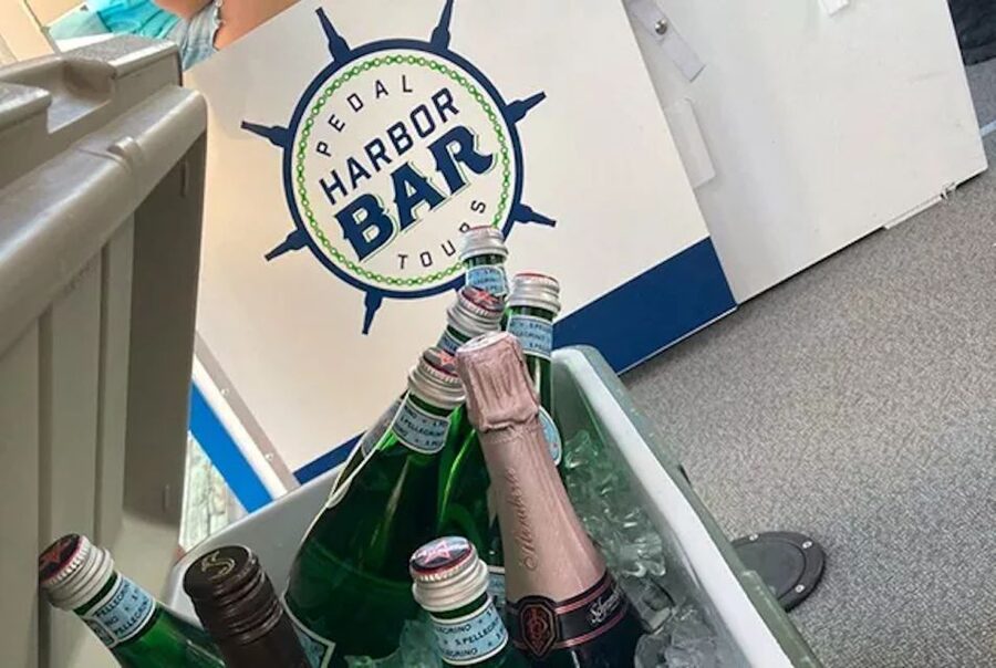 Charleston: Harbor Bar Pedal Boat Party Cruise - Is $66 a Fair Price?