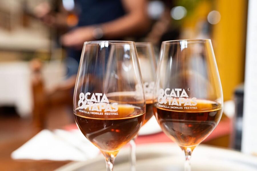 Cordoba: Tapas Bars Tour With Local Guide - Key points to know before booking