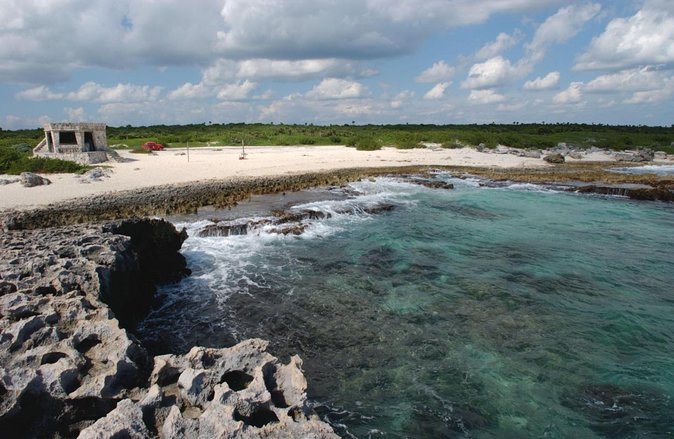 Cozumel 5-Hour Private Bar Crawl Tour - Five Things to Know Before You Go