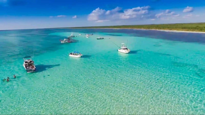 Cozumel: El Cielo & Palancar Snorkel with Open Bar & Ceviche - Key points to know before you book