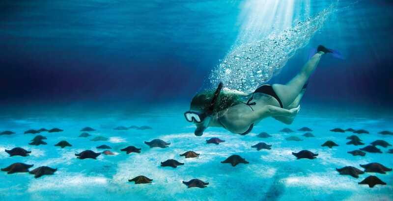 Cozumel: El Cielo & Palancar Snorkel with Open Bar & Ceviche - Practical tips for a better afternoon