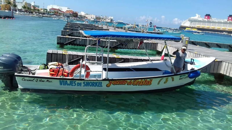 Cozumel: El Cielo & Palancar Snorkel with Open Bar & Ceviche - Palancar Reef: the strongest snorkeling stop