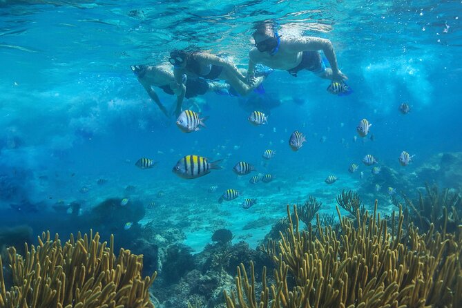 Cozumel Luxury Sailing & Snorkeling with Lunch and Open Bar Onboard - Swimming and paddleboards after snorkeling