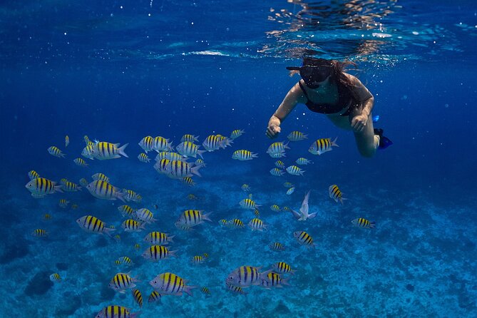 Cozumel Luxury Sailing & Snorkeling with Lunch and Open Bar Onboard - Sailing out toward Cozumel’s reef waters