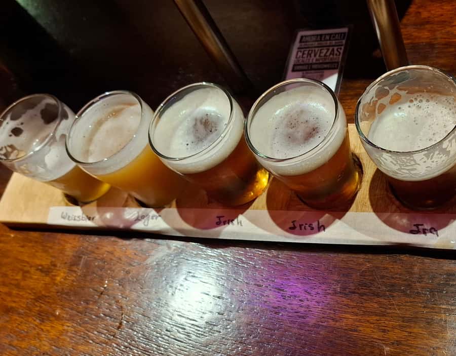 Craft Beer Pub Crawl in Cali - Starting at Botánico Pub in Granada