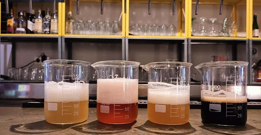 Craft Beer Tasting and tapas in Valencia - Key details before you book