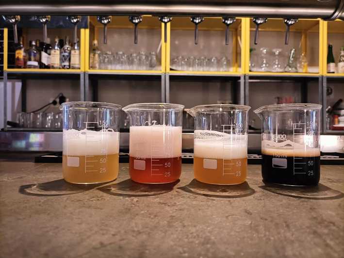 Craft Beer Tasting and tapas in Valencia - Four beer styles with a clear purpose
