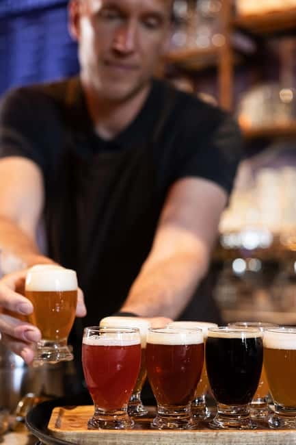 Delft: Craft Beer Tasting in Medieval Brewery - Pretzels, dip, and the value of the $19 price