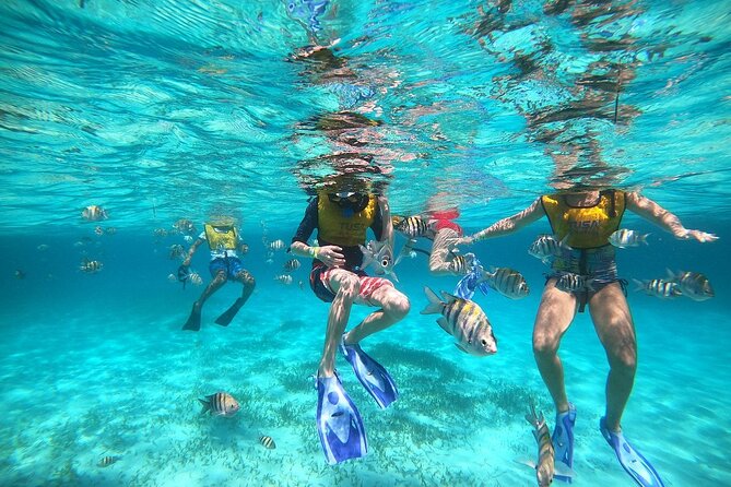 Deluxe Catamaran to Isla Mujeres with Open Bar from Cancun - The return trip and farewell toast