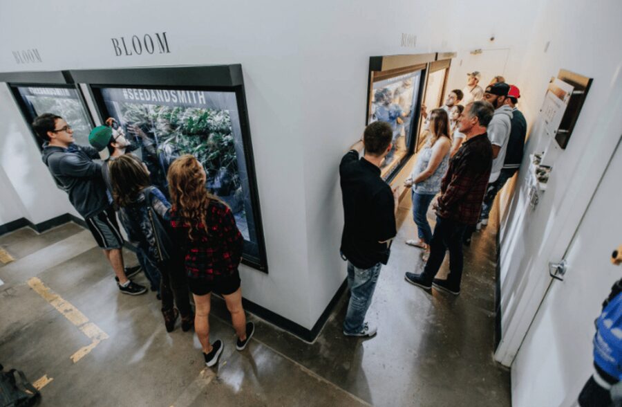 Denver: Buds & Brews Cannabis Grow Tour and Brewery Visit - Visiting dispensaries with a 15% discount