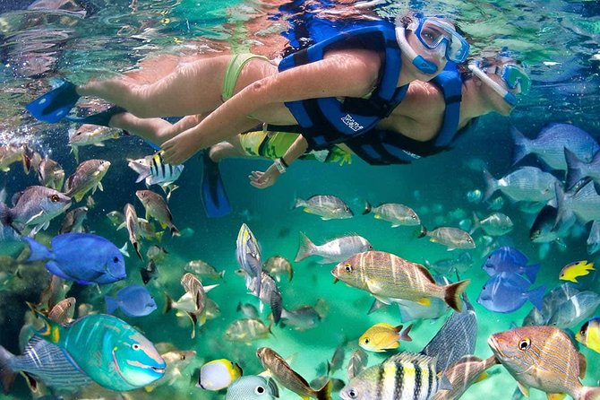 Discover Isla Mujeres tour with snorkel, buffet and open bar - Lunch and beach club time on Isla Mujeres