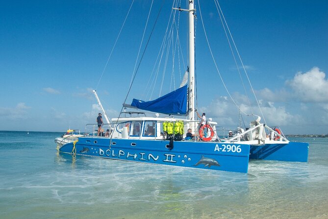 Dolphin Catamaran Snorkel and Sail with Open Bar - The crew is a major part of the experience