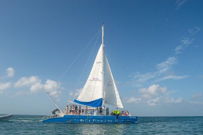 Dolphin Catamaran Snorkel and Sail with Open Bar - Boca Catalina Bay offers a second look at the reef