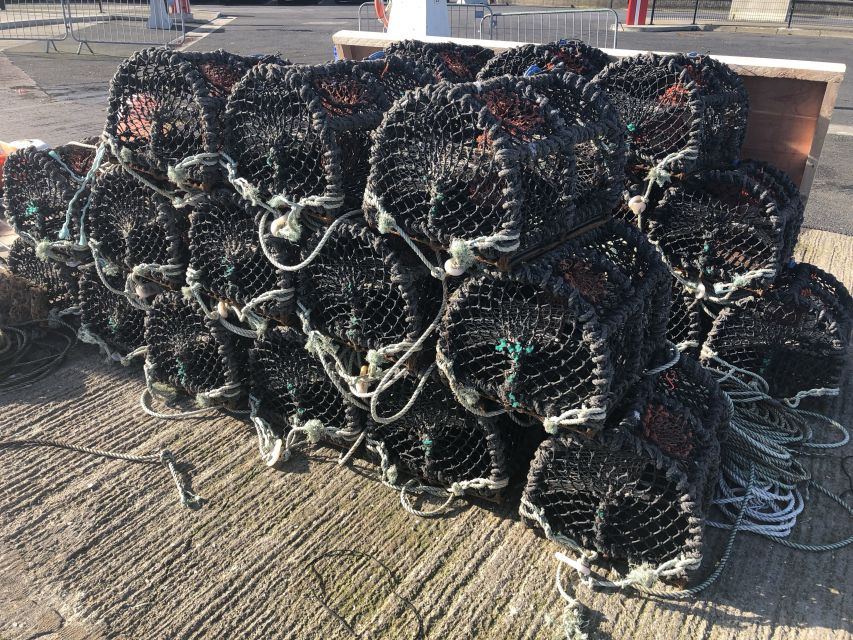 Dublin: Howth Coastal Craft Beer and Seafood Tour - Who should book this Howth tour?