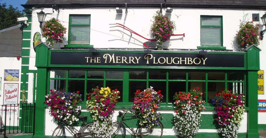 Dublin: Irish Night Show at the Merry Ploughboy Pub - Key points to know before you book