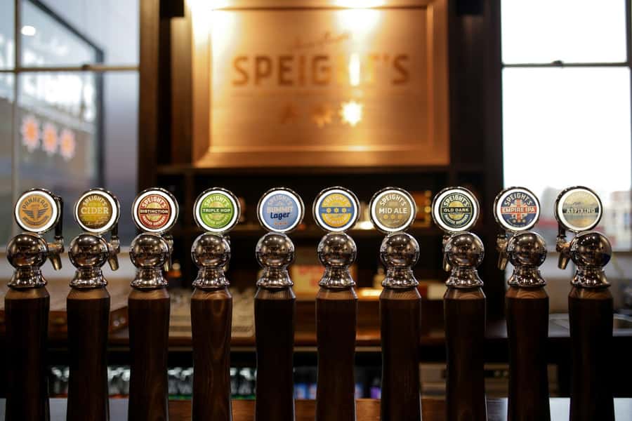 Dunedin: Speight's Brewery Guided Tour with Tasting - Learning what goes into Speight’s beer