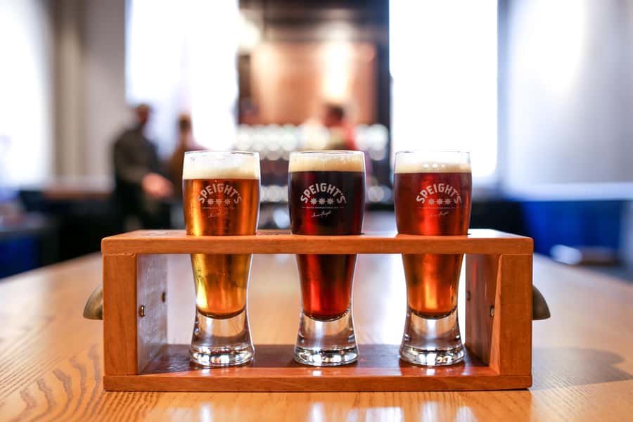 Dunedin: Speight's Brewery Guided Tour with Tasting - Final verdict: should you book Speight’s Brewery?