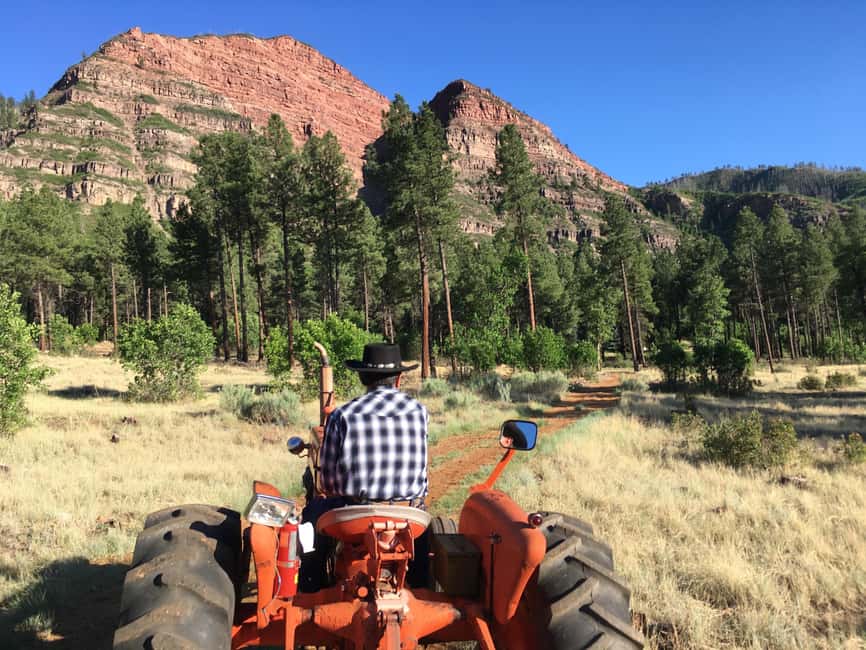 Durango: Bar D Chuckwagon Supper and Show Ticket - How the four-hour evening usually feels
