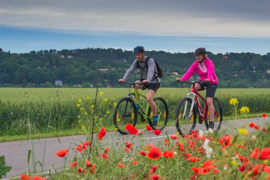 E-Bike Day Trip: Visit a Roman Castle and Taste Craft Beer - Key points to know before you book